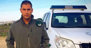 אבי גרונוב ז"ל. צילום:ארכיון