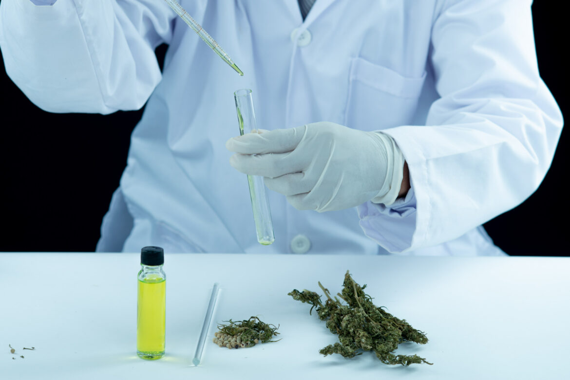 doctor-hand-hold-offer-patient-medical-marijuana-oil (1)